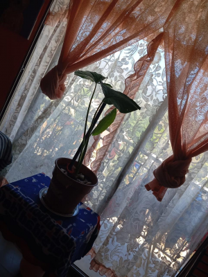 se-vende-lindo-departamento-3d-1b-limache-regio-3