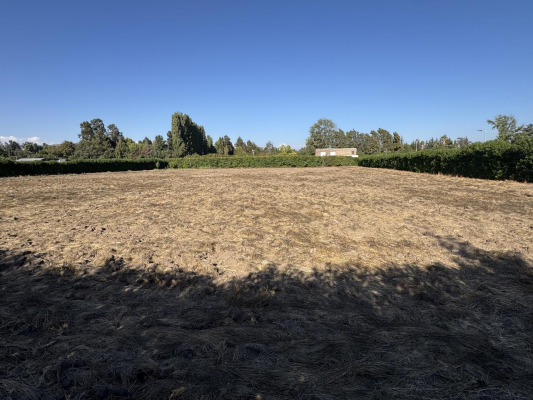 parcela-5000m2-en-condominio-asfaltado-en-caler-7