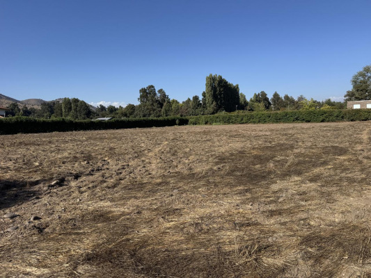 parcela-5000m2-en-condominio-asfaltado-en-caler-5