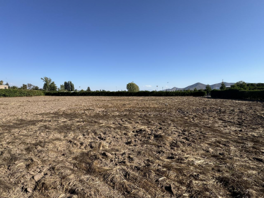 parcela-5000m2-en-condominio-asfaltado-en-caler-6