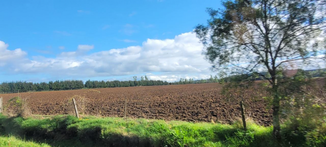 parcela-5000m2-rol-propio-resolucion-sag-6
