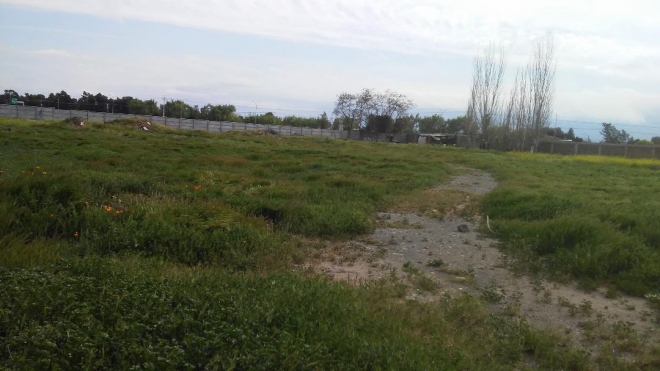 sitio-agricola,-totalmente-comercial,-centrico-3