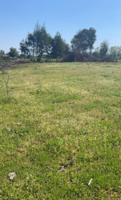 vende-parcelas-de-2-hectareas-con-rol,-en-talca-9