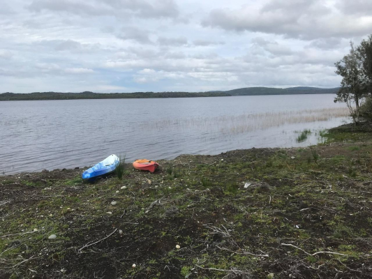 -3