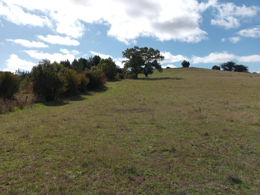 lindo-campo-de-15-5-h-en-carahue-3