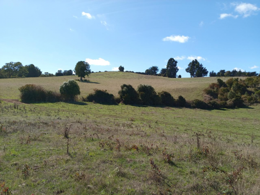 lindo-campo-de-15-5-h-en-carahue-7