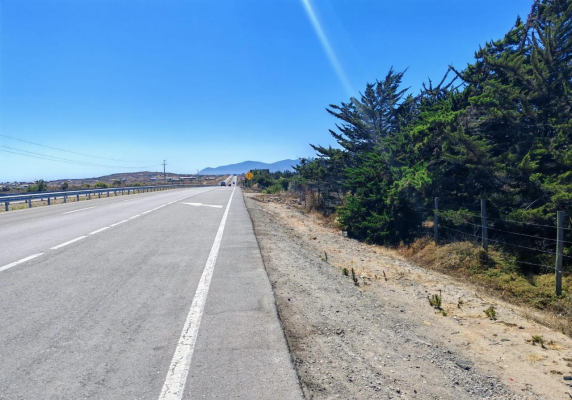 venta-terreno-5500-mts-orilla-ruta-5-tongoycil-8