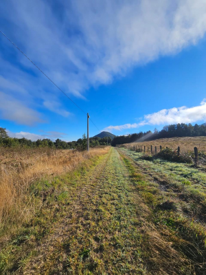 parcelas-camino-villarrica-licanray-loteo-orill-8