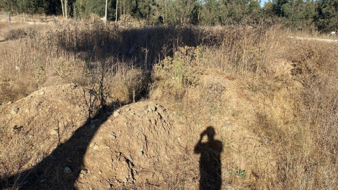 se-vende-parcela-de-una-hectarea-en-san-antonio-4