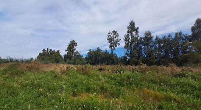 venta-de-parcela,-5000mt2-de-terreno,-camino-sa-7