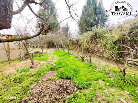 venta-parcela-colonia-paine,-5000m2,-4-hab,2-banos-4