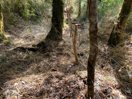-7