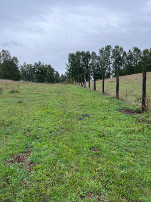 gran-oportunidad-de-inversion-parcela-5000m2-9