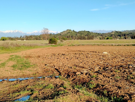 campo-33,5-ha,-plano,-buen-acceso,-san-clement-3