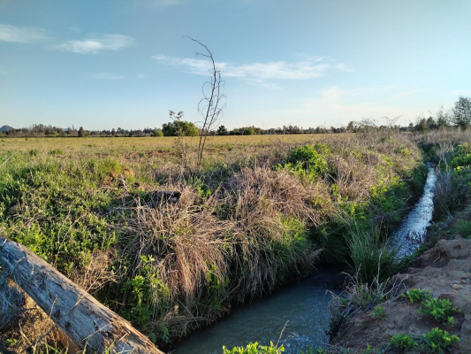 campo-33,5-ha,-plano,-buen-acceso,-san-clement-5