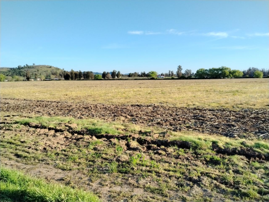 campo-33,5-ha,-plano,-buen-acceso,-san-clement-6