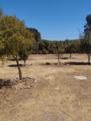 limache-se-vende-parcela-de-5000-mts2,-con-her-5