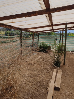 limache-se-vende-parcela-de-5000-mts2,-con-her-9