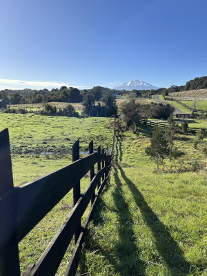 parcela-con-vista-a-volcanes-y-lago-en-sector-l-5