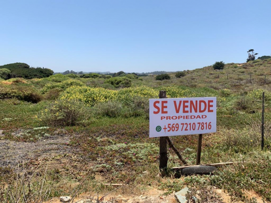 venta-parcela-5000mts-pichilemu-4