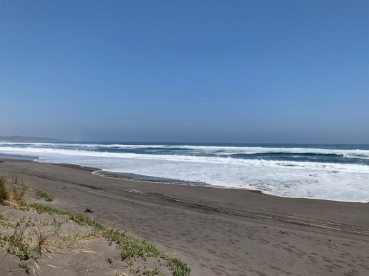 venta-parcela-5000mts-pichilemu-6
