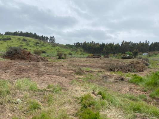venta-parcela-10000mts-campo-alegre-santo-domingo-6
