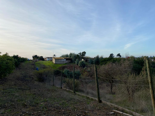 venta-parcela-de-20700mts-santo-domingo-con-casa-9