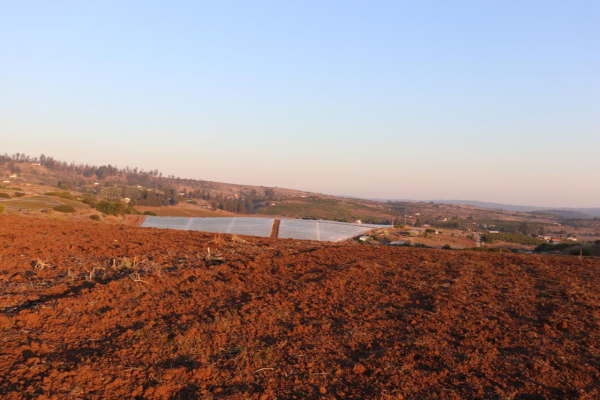 se-vende-parcela-agricola-en-el-convento,-sant-3