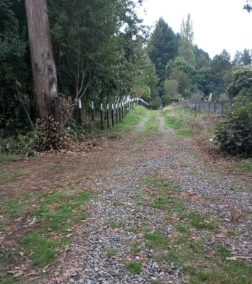 terreno-en-villarrica-de-1558-m2-en-zona-urbana-7