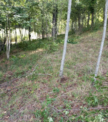 terreno-en-villarrica-de-1558-m2-en-zona-urbana-4