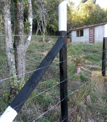 terreno-en-villarrica-de-1558-m2-en-zona-urbana-9