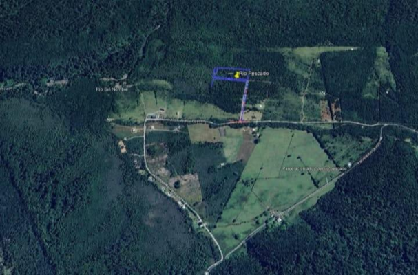 en-venta-parcela-con-bosque-nativo-uf-966-puer-5