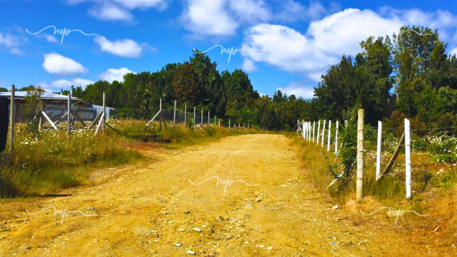 camino-a-estaquilla-parcela-5000-m2-8