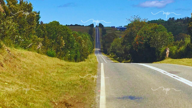 camino-a-estaquilla-parcela-5000-m2-5