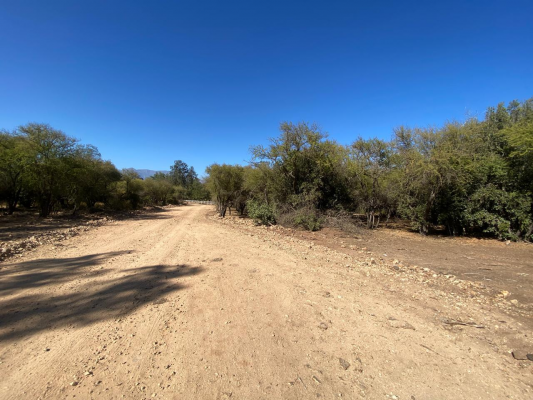 venta-parcela-plana-de-15000-m2-paine-3
