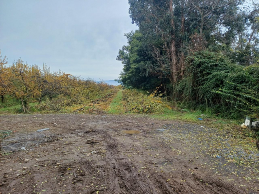 venta-de-parcelas-de-agrado-molina-maule-8
