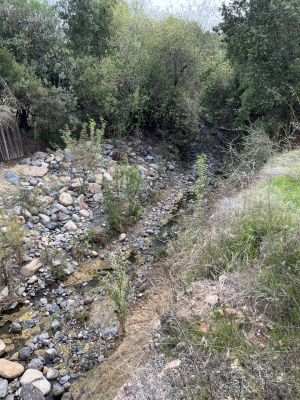 venta-hermoso-terreno-con-orilla-de-estero-3