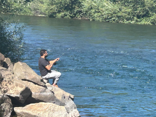 liquidamos-parcela-a-metros-del-rio-tolten-5