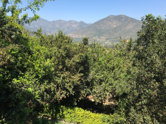 vivienda-en-olmue-a-los-pies-de-la-campana-3