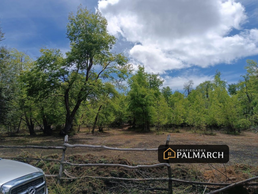 parcelas-en-venta-los-lleuques-montana-y-natu-6