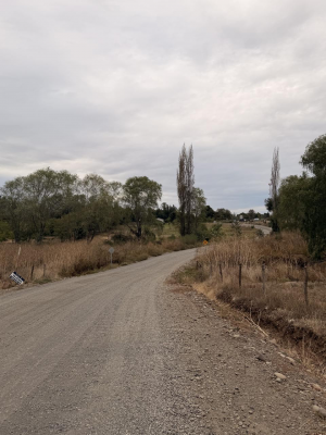 oportunidad-parcela-camino-a-pinto-a-300-metros-7