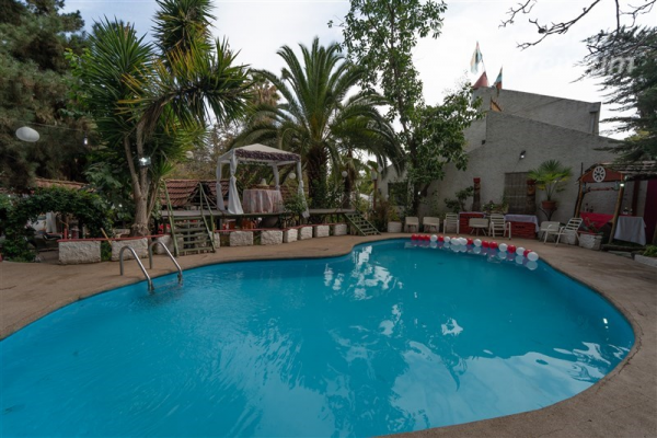 -19