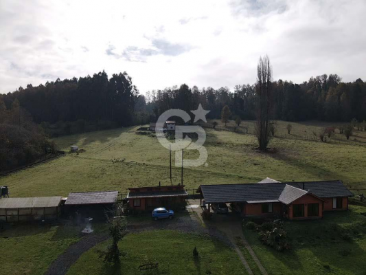 -5