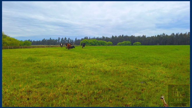 -9