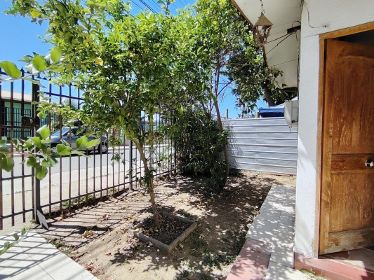 oportunidad-terreno-con-casa-belloto-2000-8