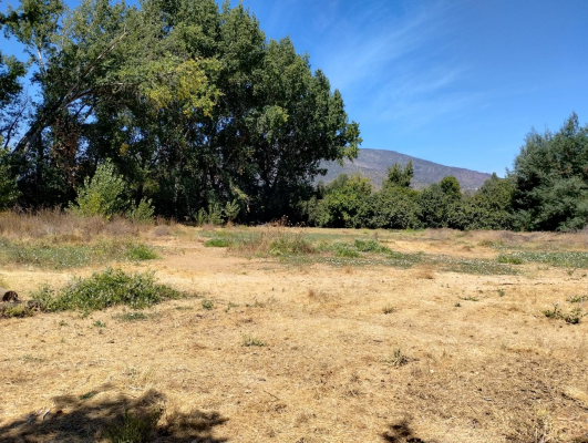 terreno-urbano-9500-mt2,-las-acacias,-hospital,-3