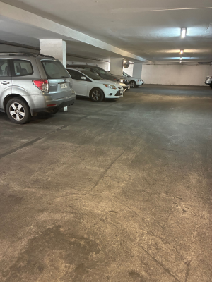 ricardo-lyon/las-violetas-estacionamiento-(165-8