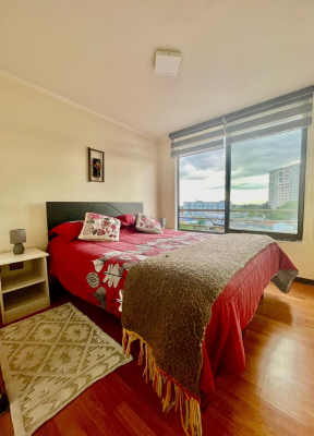 vende-amplio-y-centrico-depto-3d-2b-temuco-5