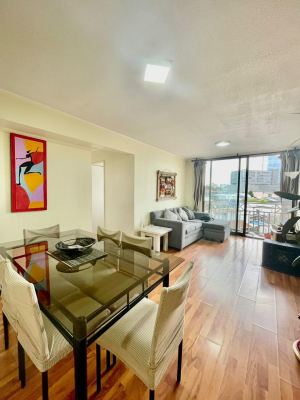 vende-amplio-y-centrico-depto-3d-2b-temuco-7