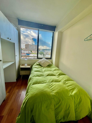vende-amplio-y-centrico-depto-3d-2b-temuco-9
